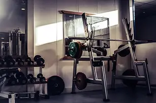Wildebeast Fitness