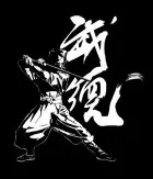 Ninjutsu Bujinkan Shinobi Dojo Marseille Cabries