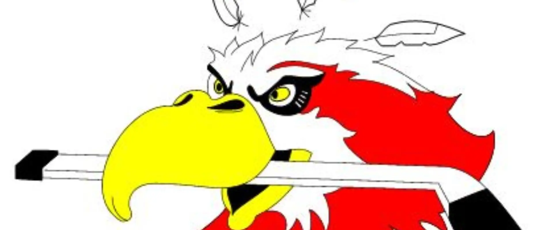 EURO-CAN Hockey School