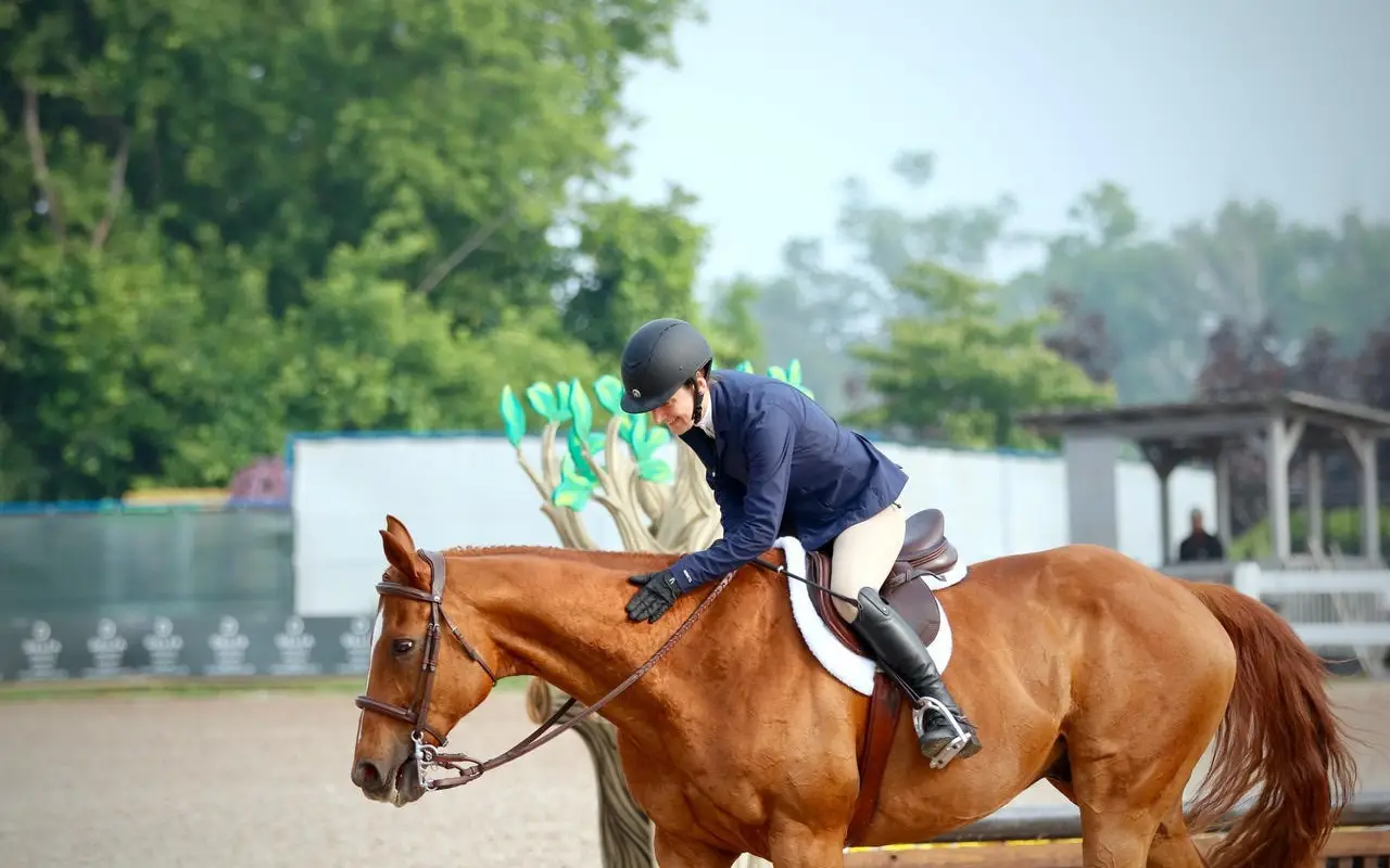Valiant Equestrian