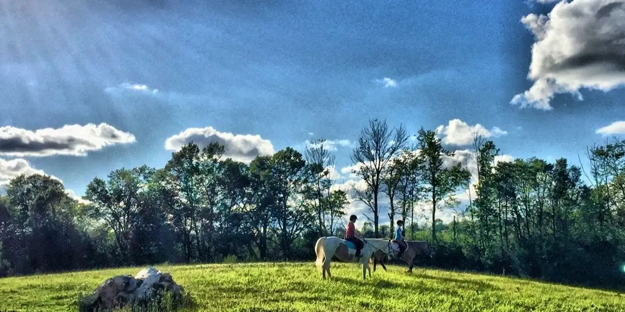 Cantercall Riding School