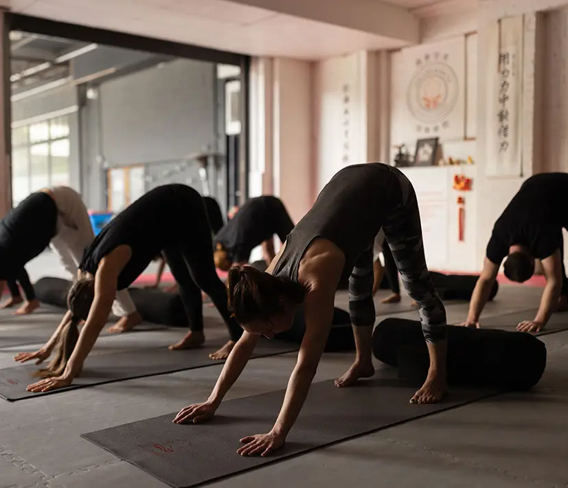Head Academy Kung Fu Caringbah