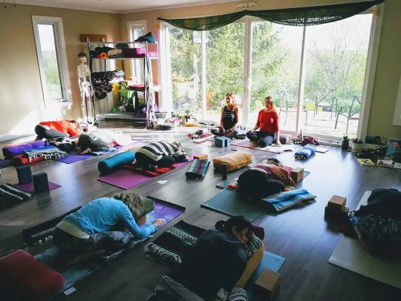 Wise Roots Therapies