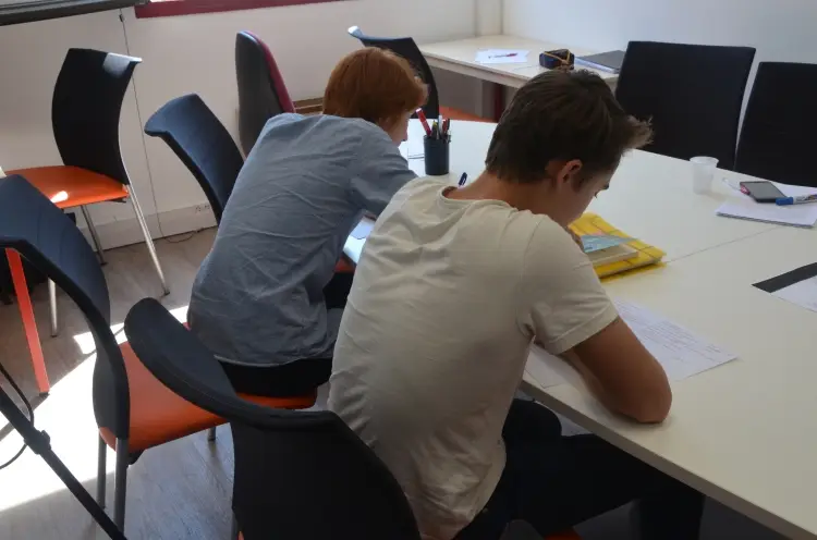Coaching Avenir - Trainer School - Professor De French - Preparation Aux Concours