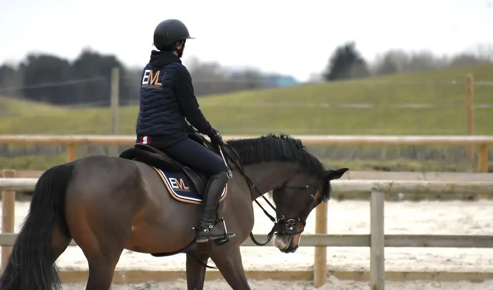Stud Du Centaure