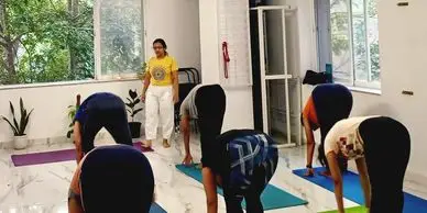 Lotus Yoga
