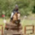 Stud De L'artolie