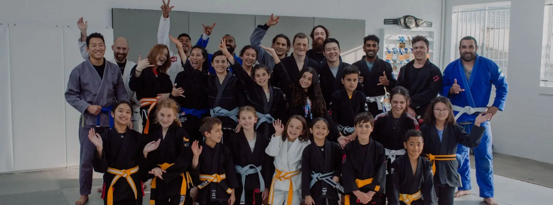 DAREDEVIL JIU JITSU