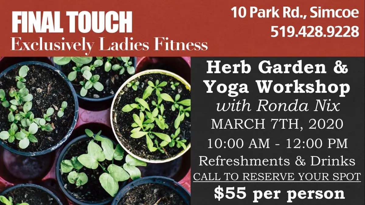 Final Touch Exclusively Ladies Fitness