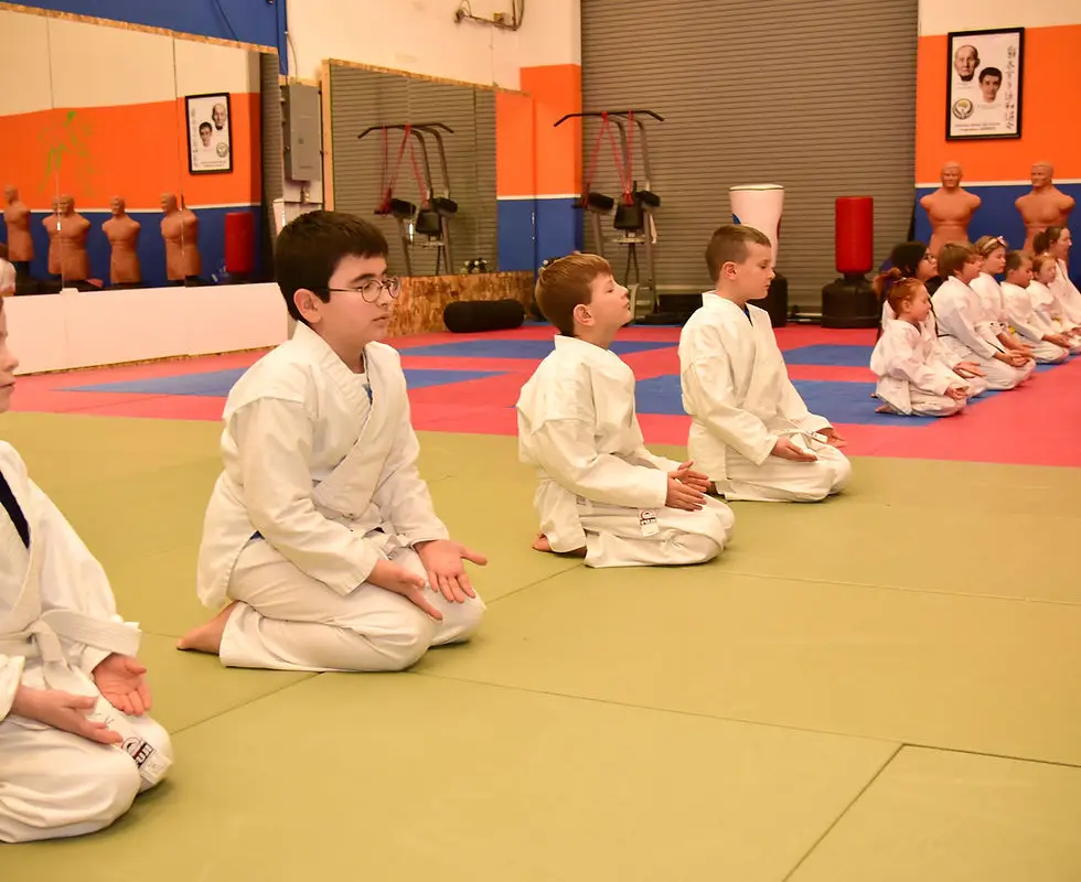 Peace Region Wado Kai Karate