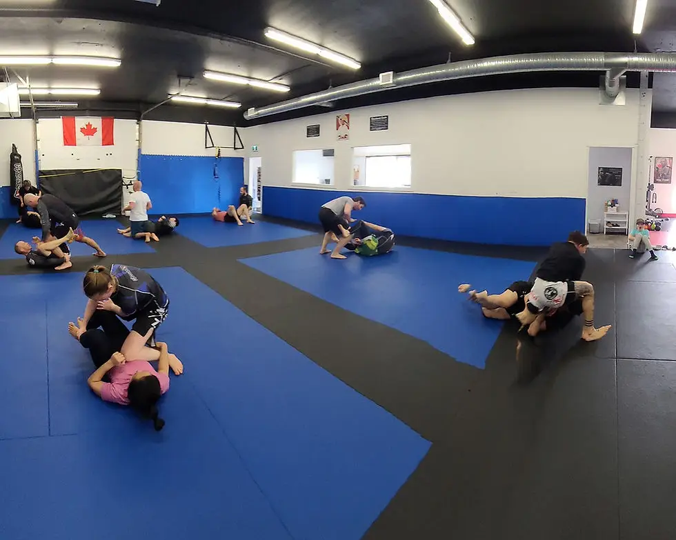 North Wake Martial Arts