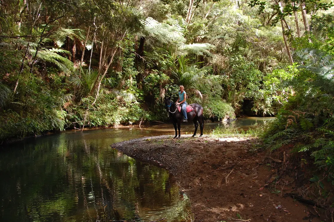 North River Horse & Humanship Centre