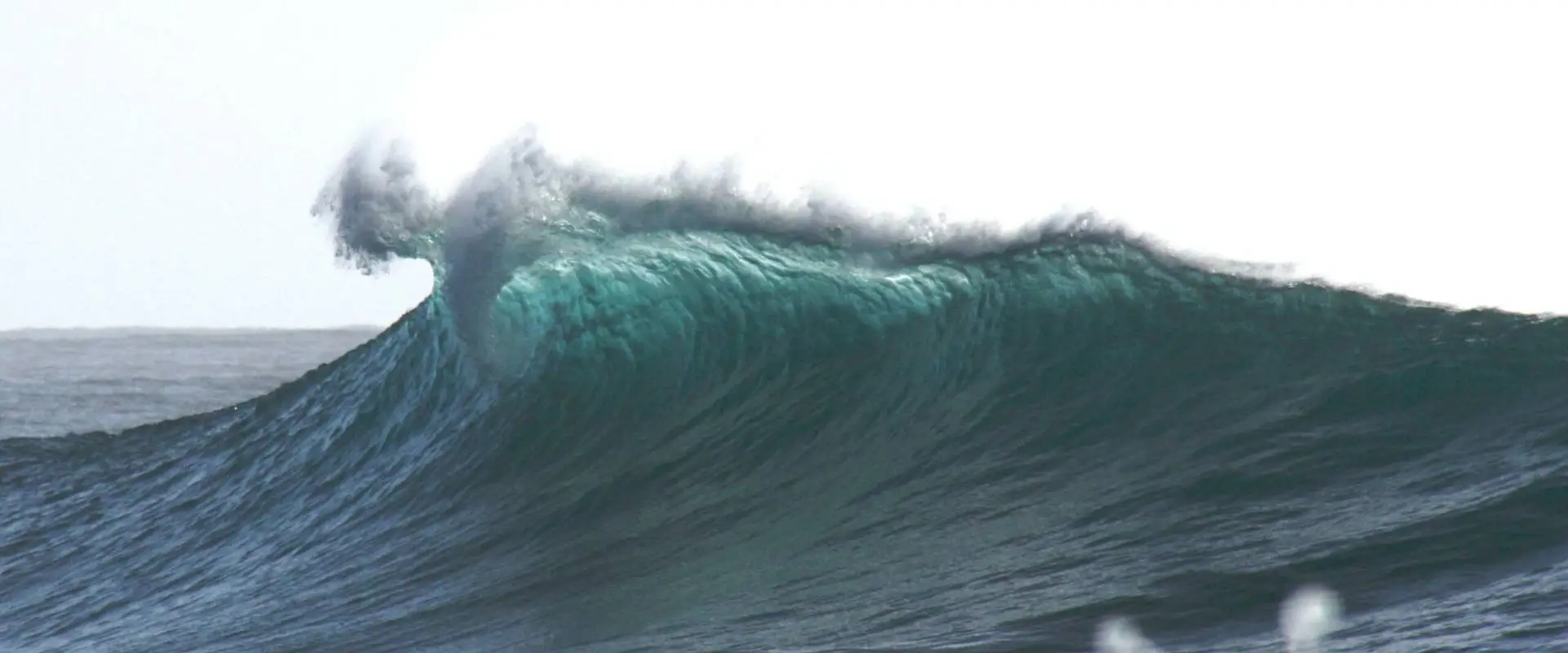 Wishbone Surf Shop