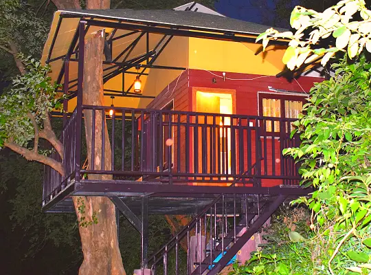 Brahmaputra Jungle Resort