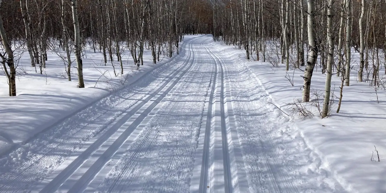 Lloydminster Cross Country Ski Club