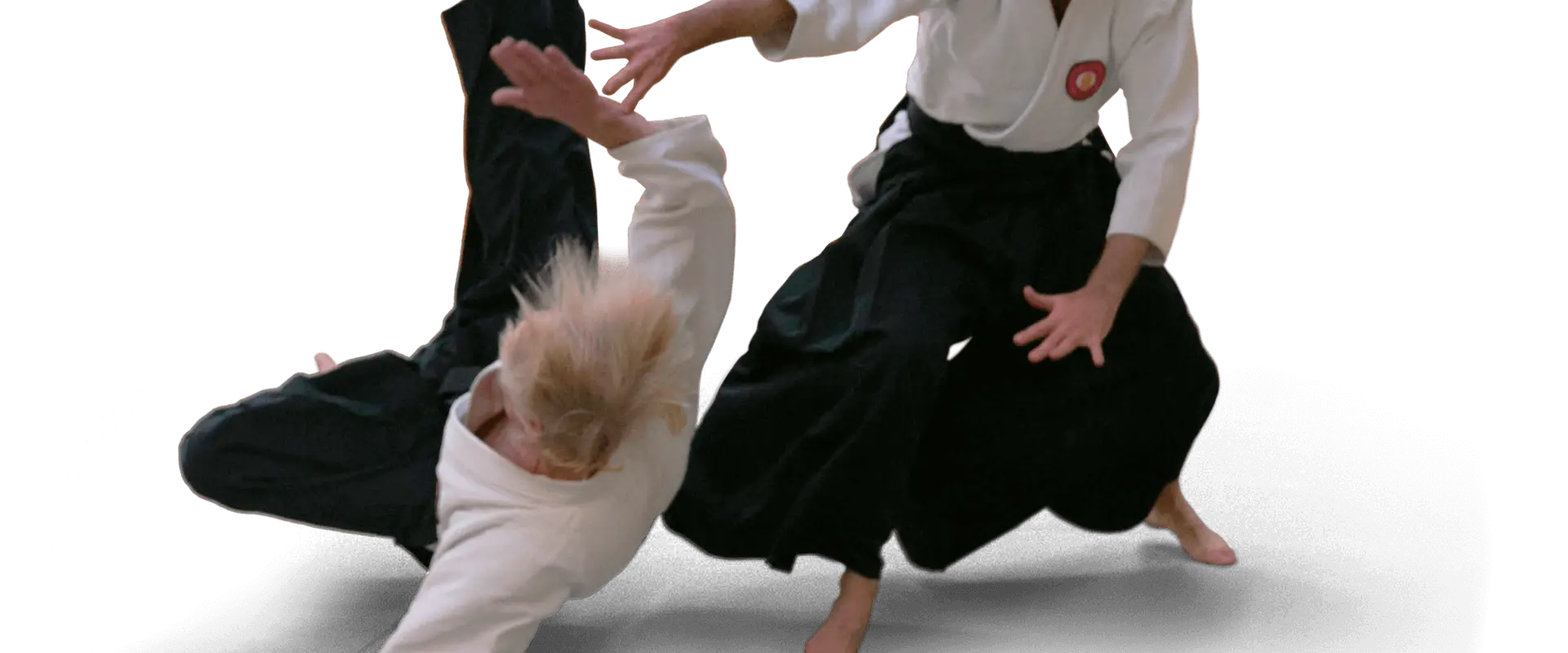 Riai Aikido Wellington