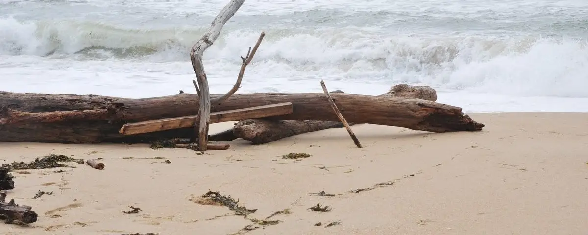 Les Dunes Oléron : location saisonnière villa avec piscine (Île d'Oléron)