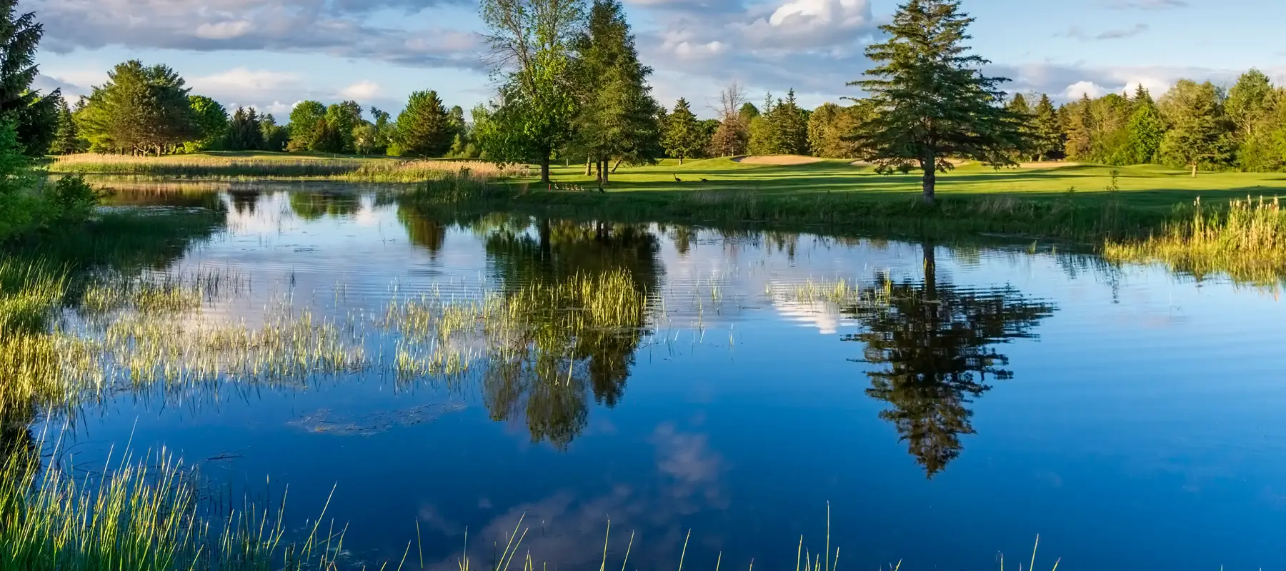 Amberwood Village Golf