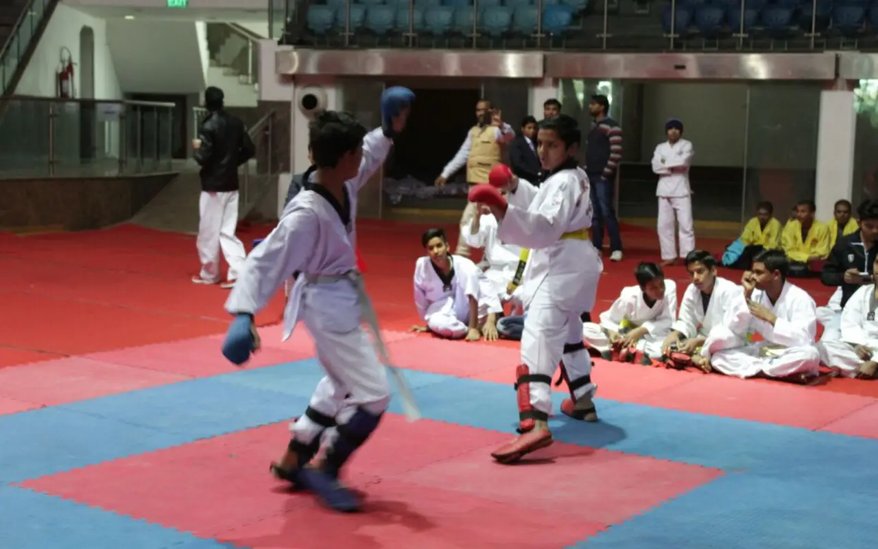 Delhi Karate Organization