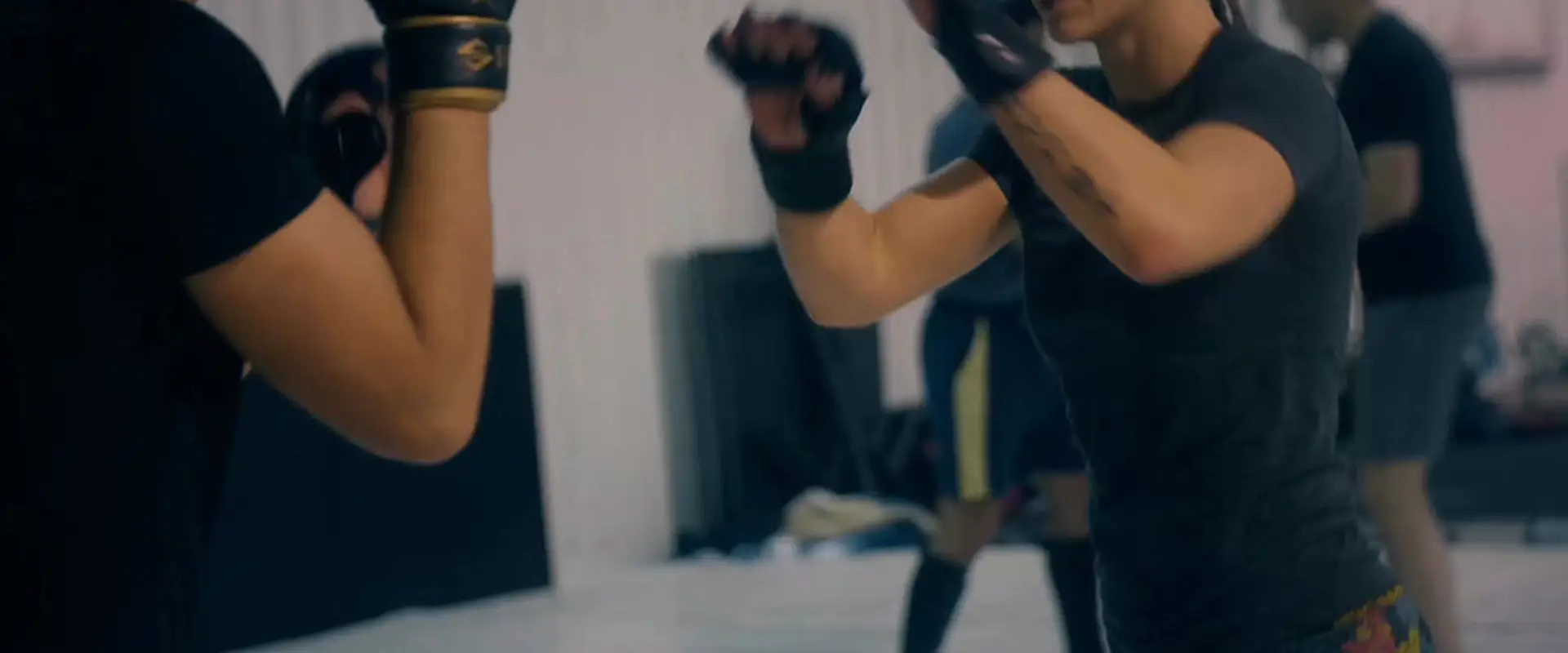 Fighting Fit Strength and Performance