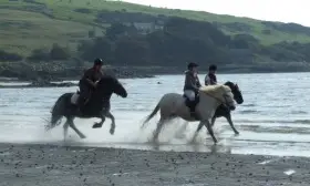 Brighouse Bay Trekking and Riding Centre