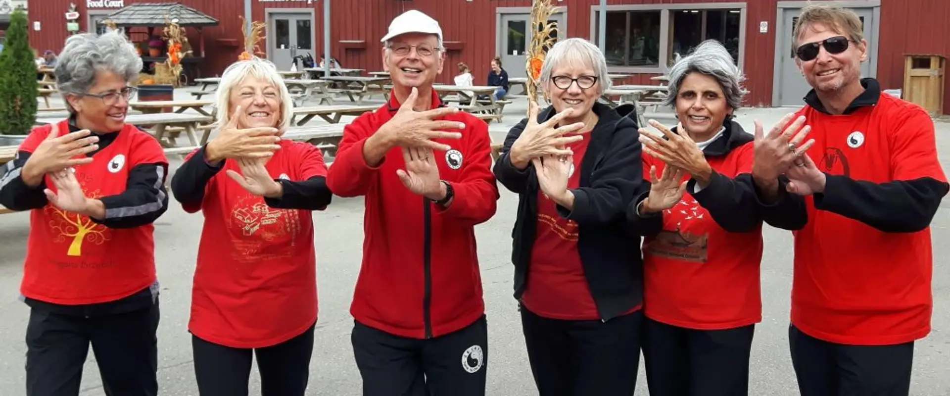 Fung Loy Kok Taoist Tai Chi - Lively