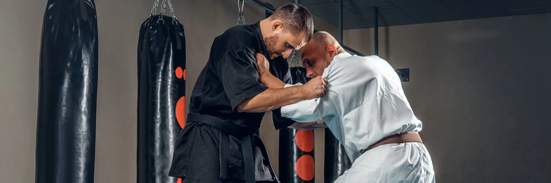 Australasian Aikikai Inc Niagara Park