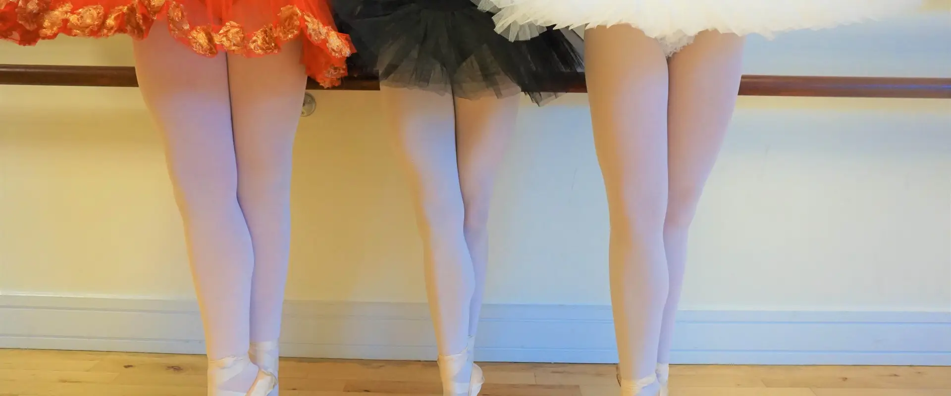 Fiona L Campbell Ballet
