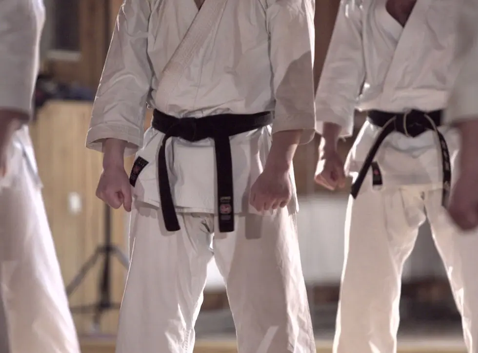 Yoseikan Karate Association