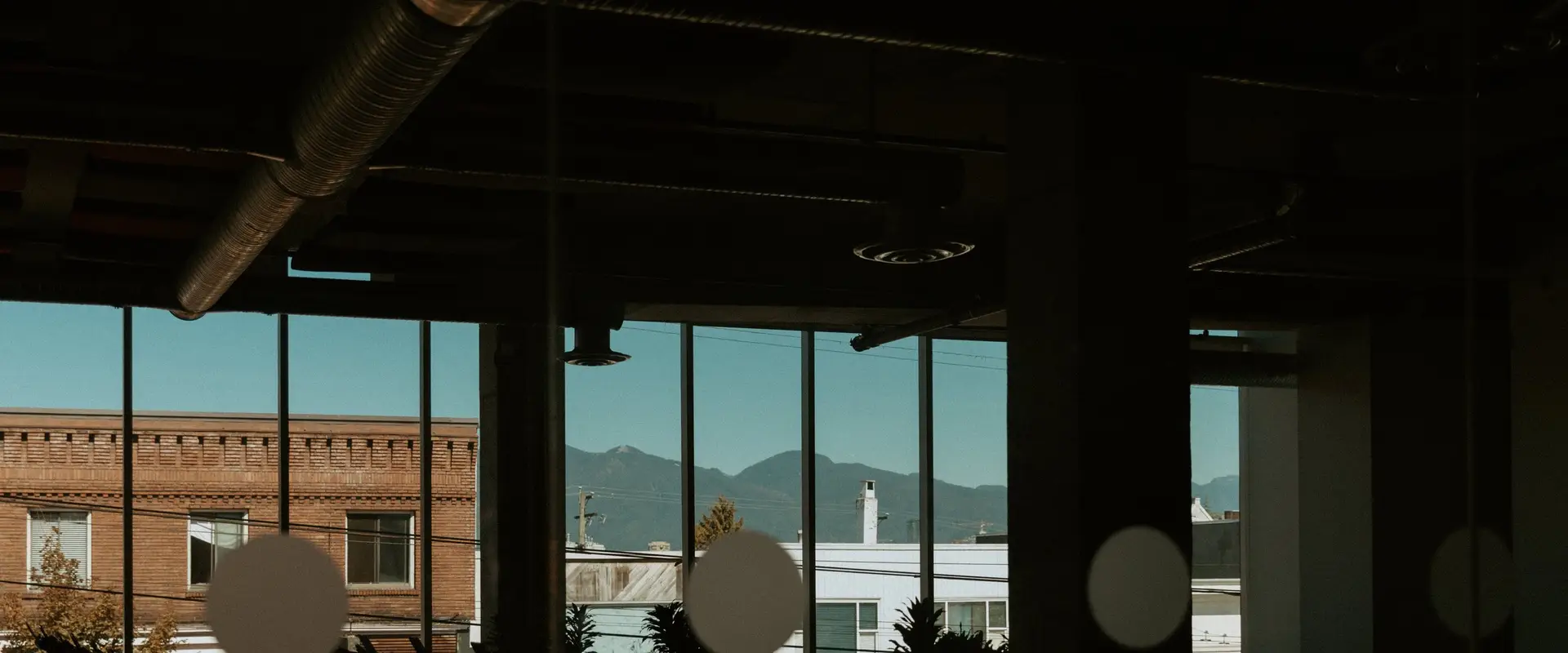 The Cycle Collective