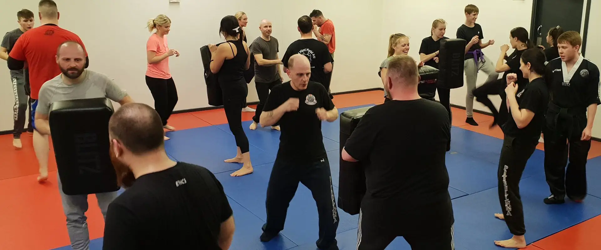 Pitbull Mixed Martial Arts