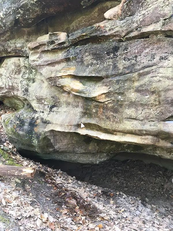 Trois-Pignons NE : Bois Rond