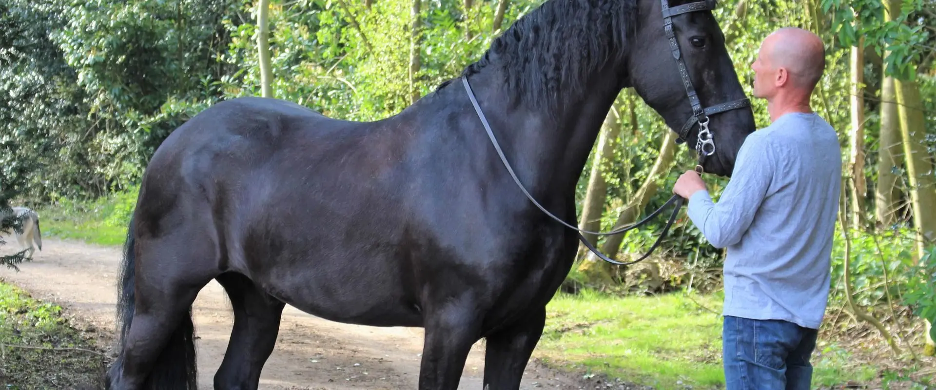 The Centre of Horseback Combat