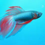 Warehouse Aquatics
