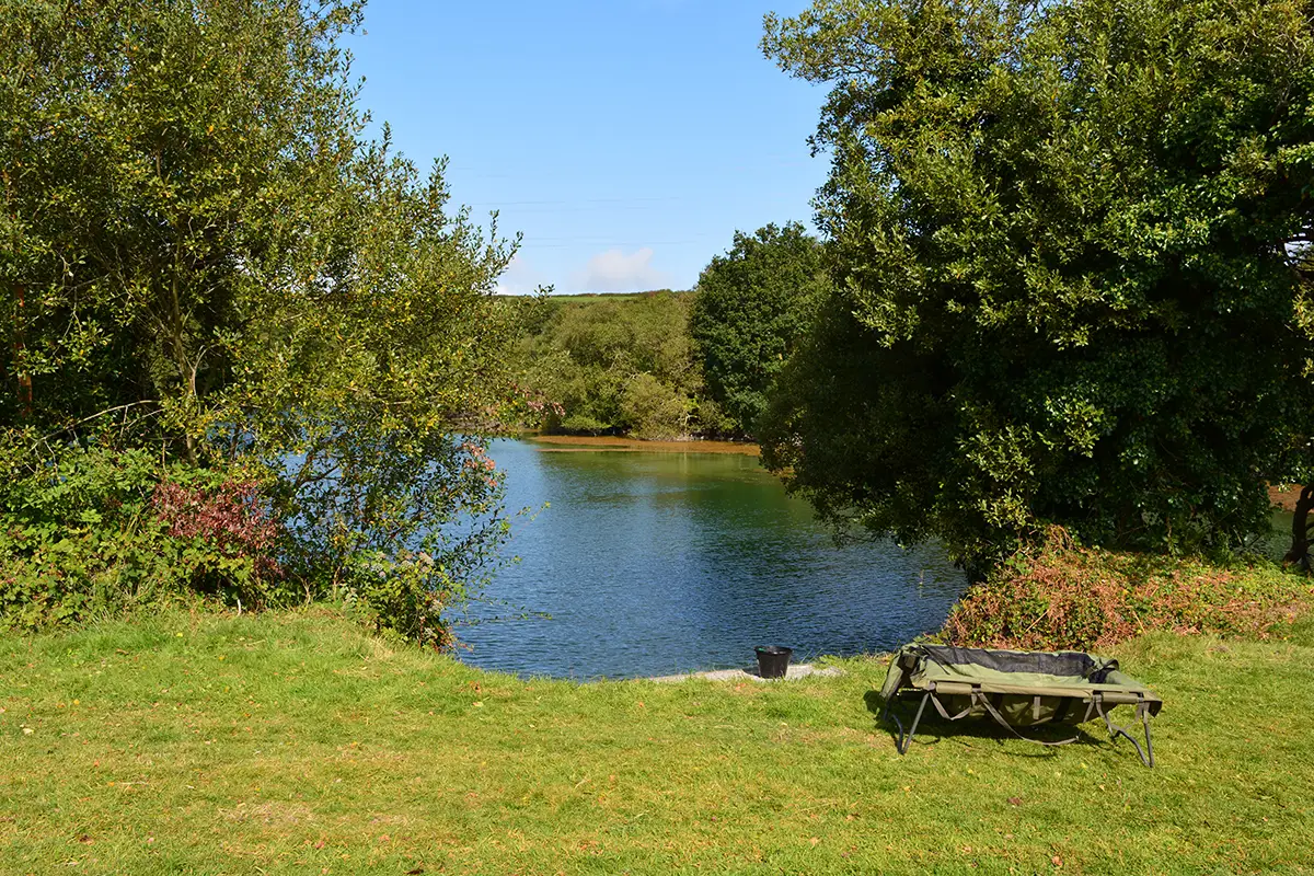 Rosemellyn Fisheries