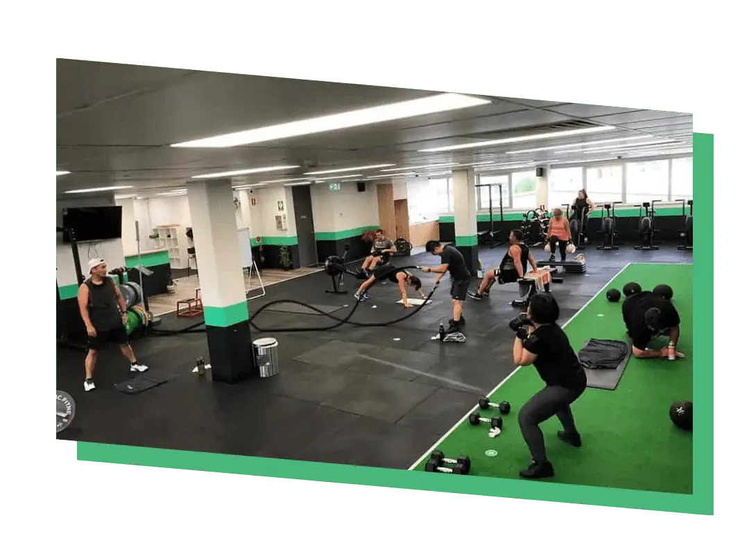 MFITNESS Tribe