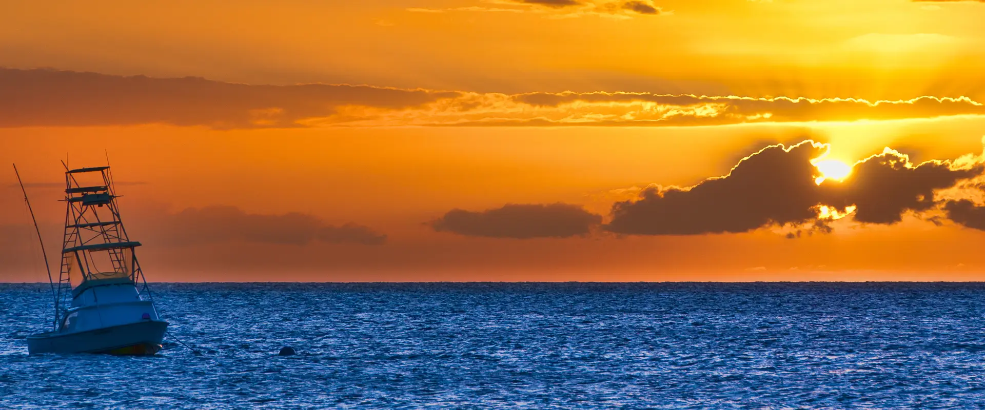 Australian National Sportsfishing Association