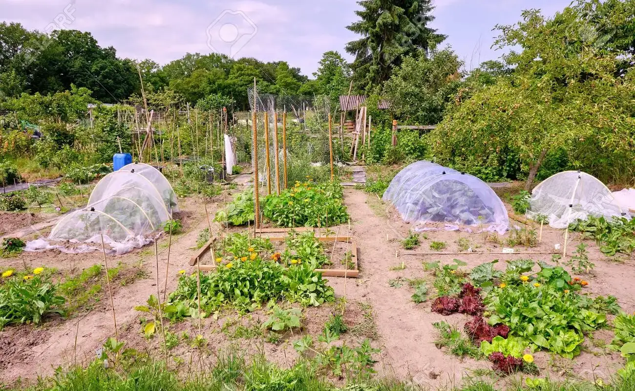 Le jardin bis