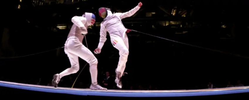Z Fencing