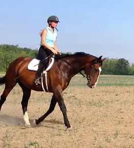 Aisling Ridge Equestrian Centre