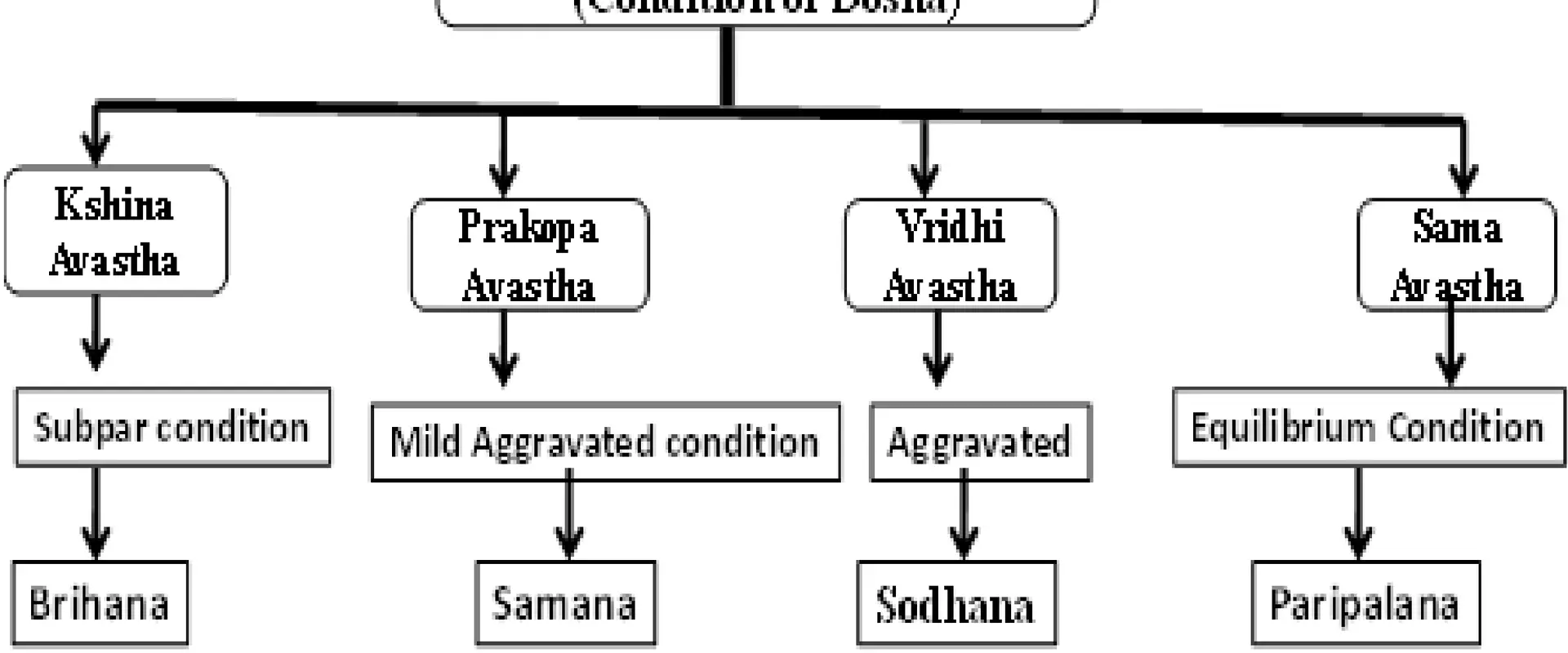 The Brahmavidya Treatment and Training Center