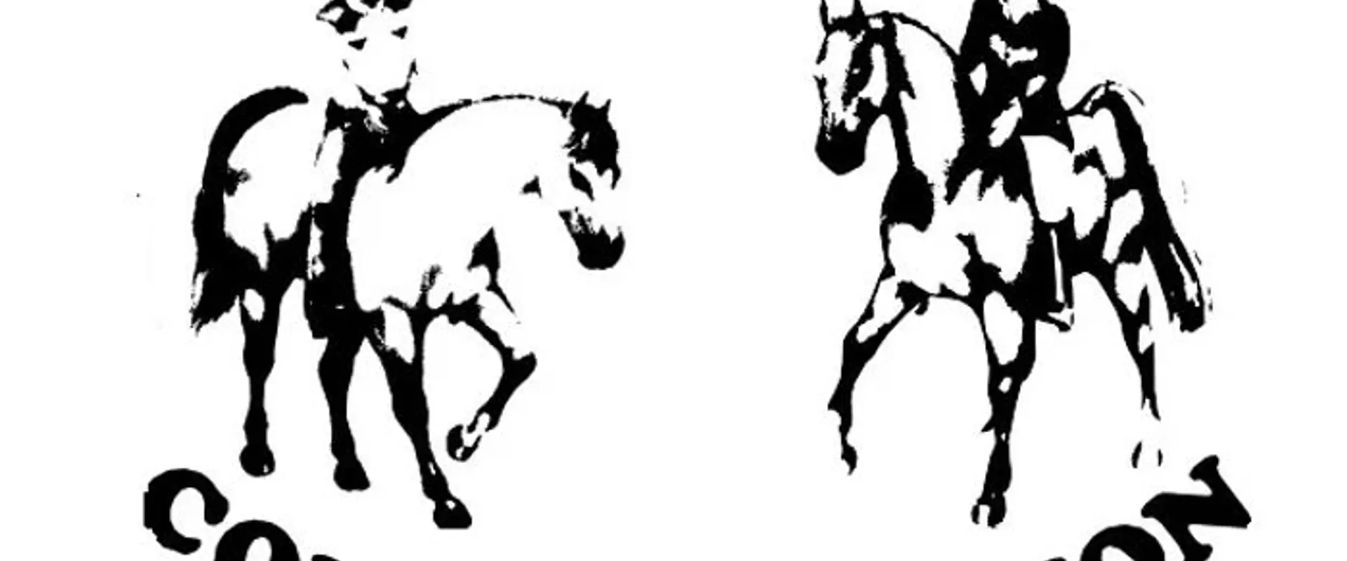 Equine Communication