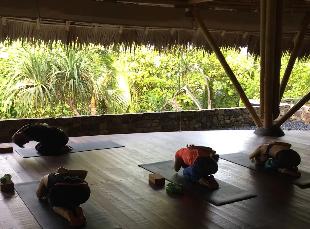 Perform Yoga - The Best Yoga Classes