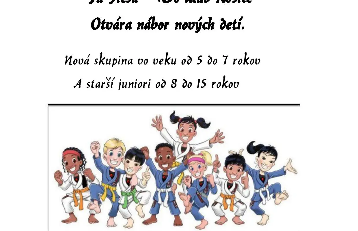 Slovenská Federácia Ju Jitsu