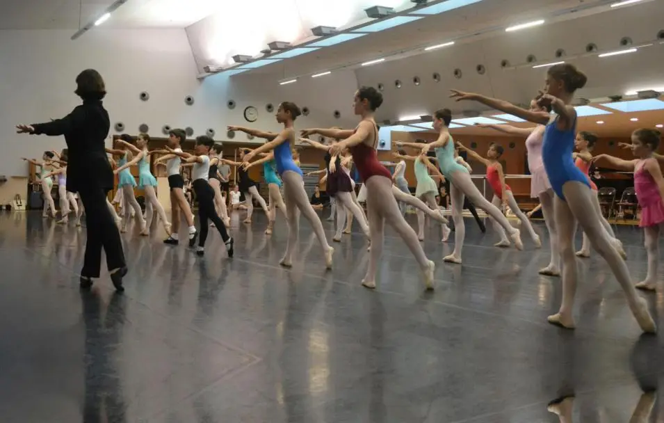 Dance Studies Paris J Goube