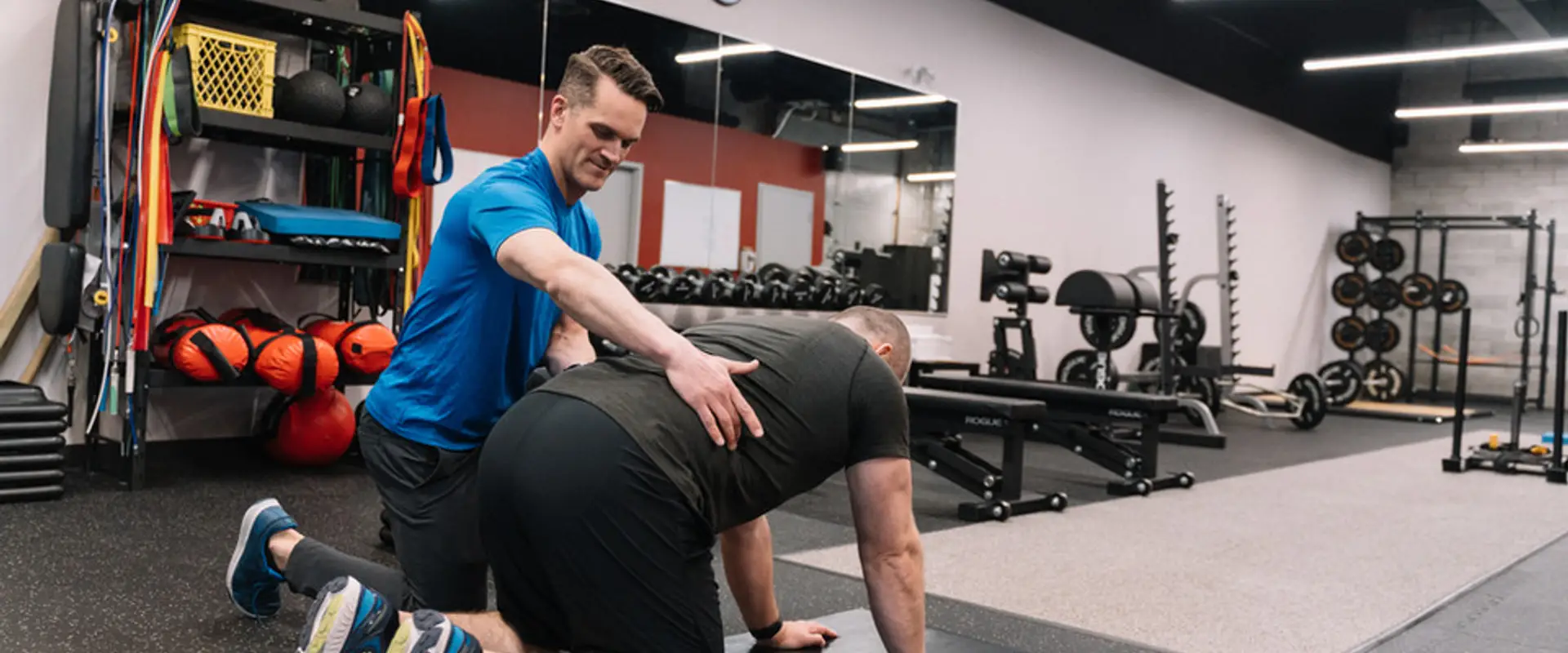 Gains Performance Studio