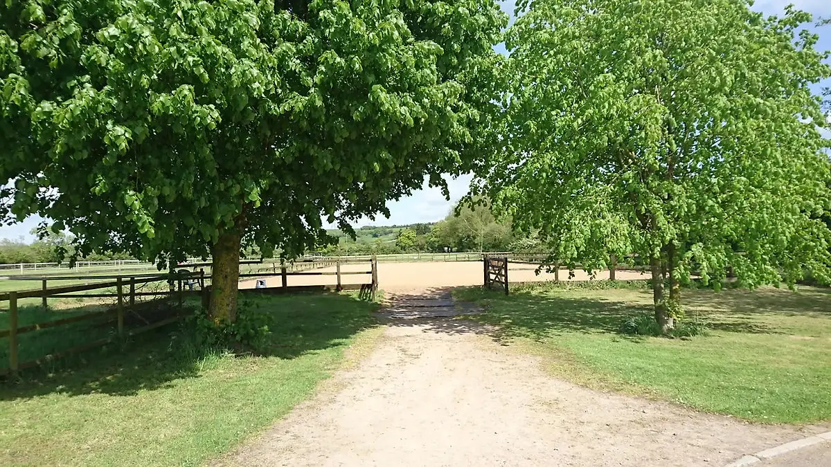 AP Equestrian Livery Stables