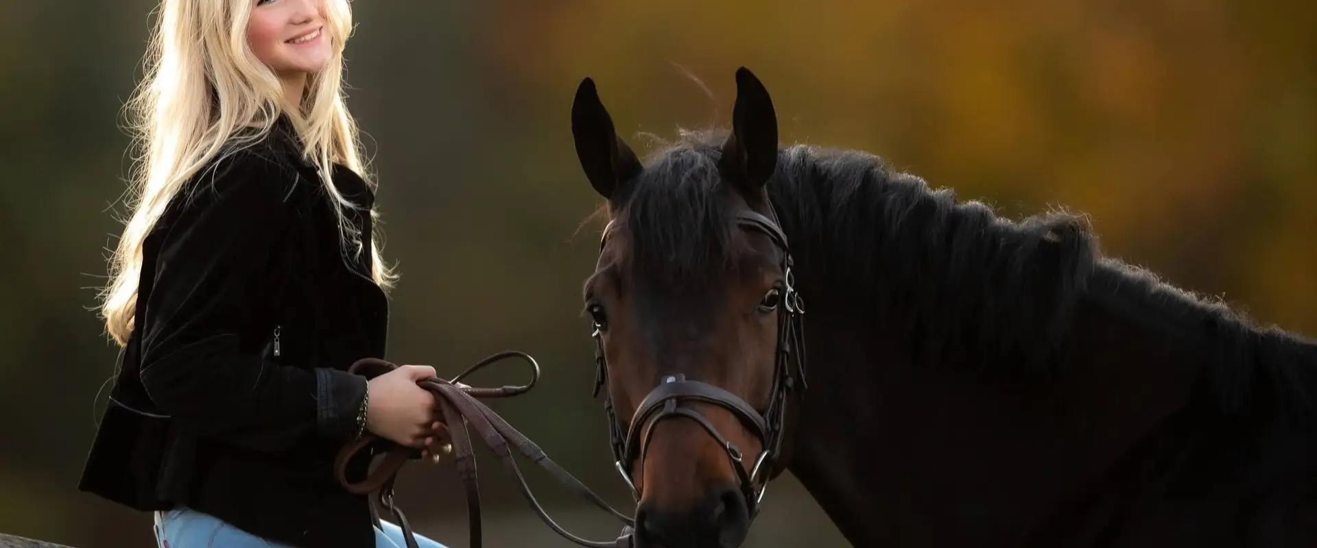 The Meadows Equine