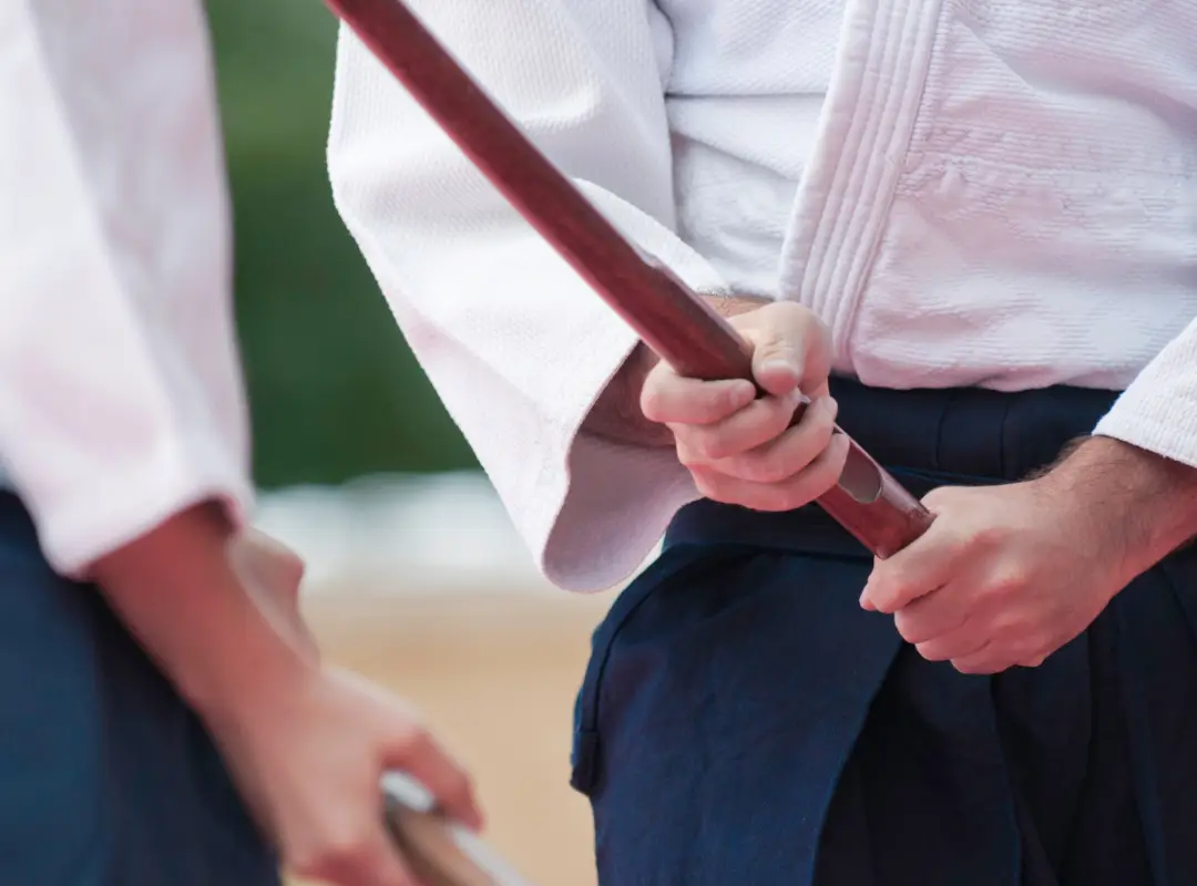 Aikido Cranves-Sales