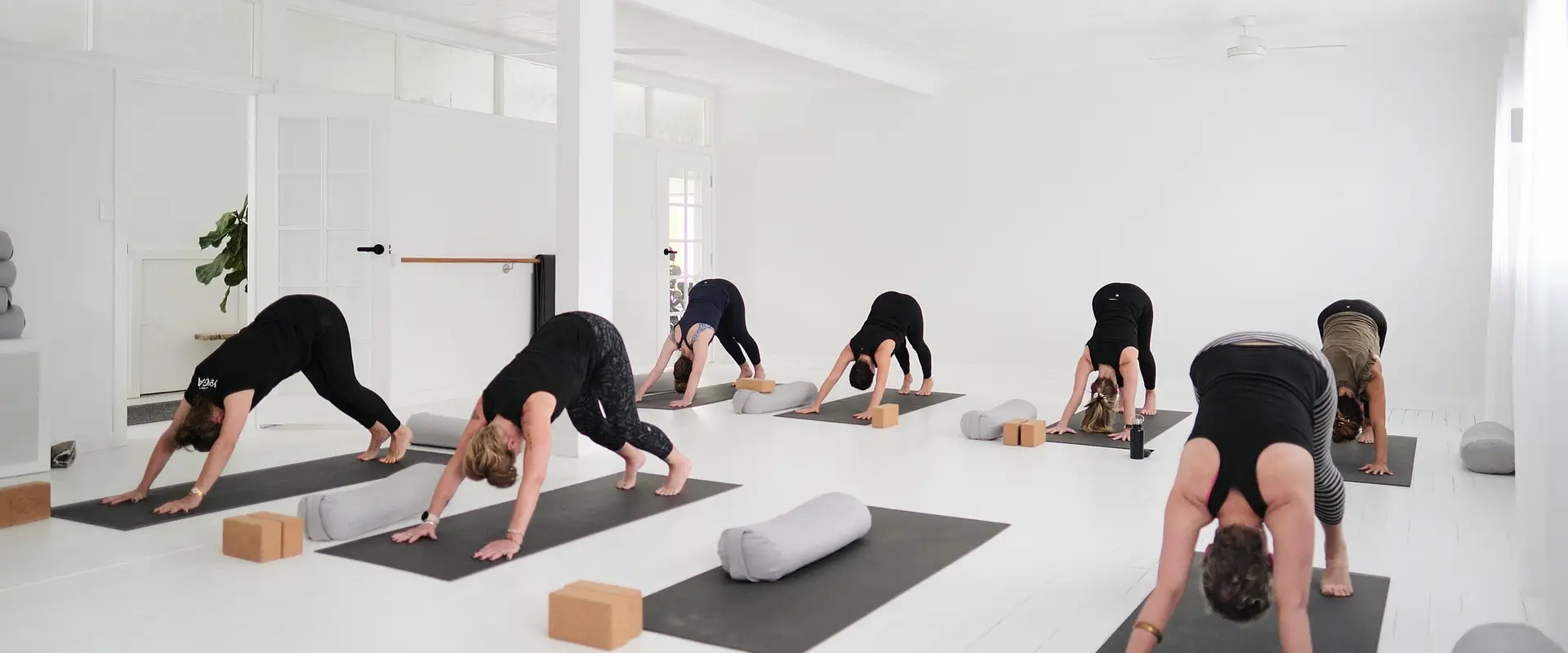 Alasana Yoga